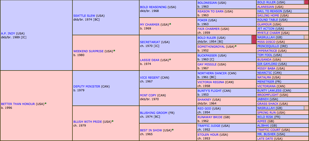 Rags to Riches Pedigree