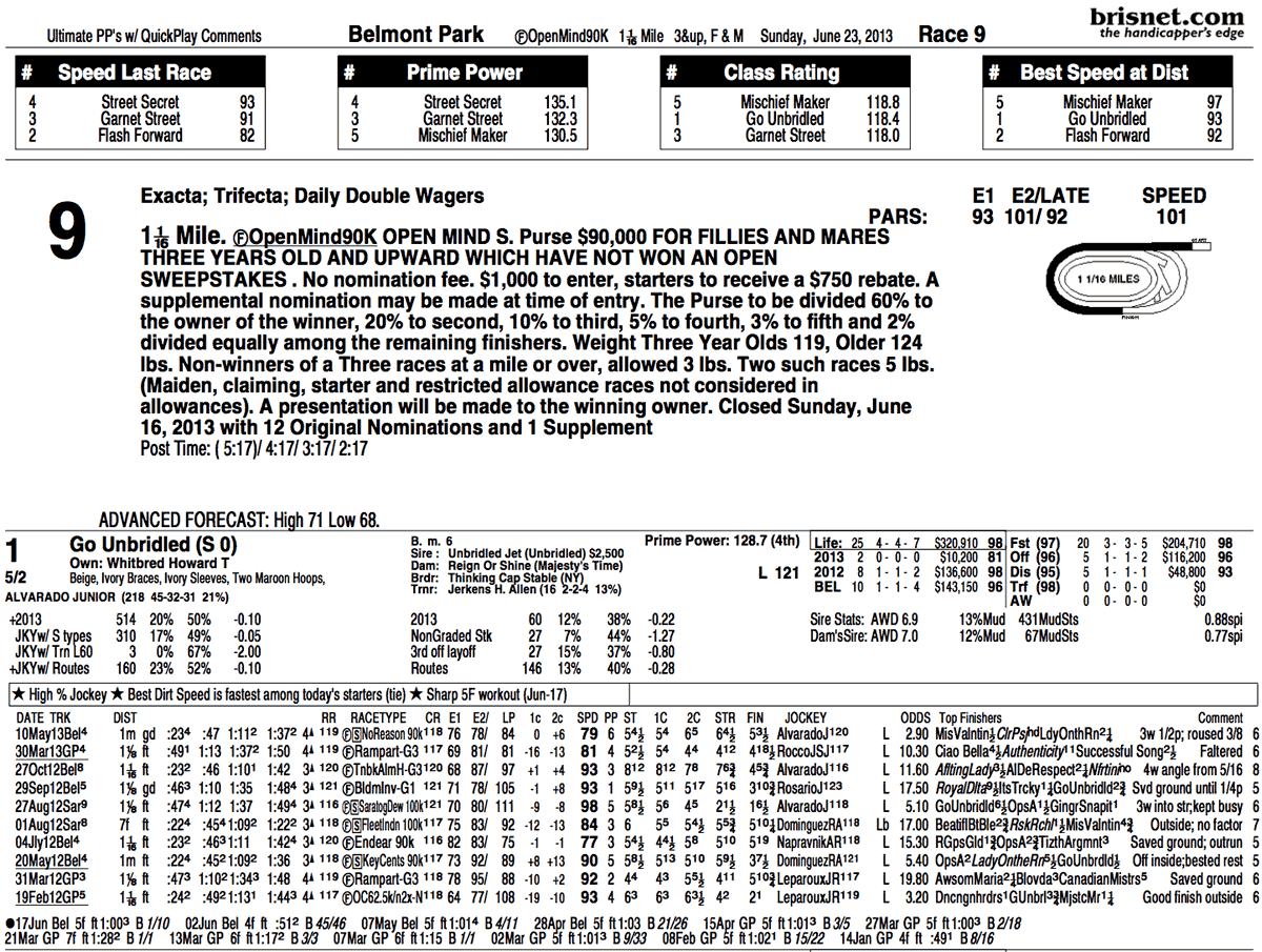 Brisnet past performance example