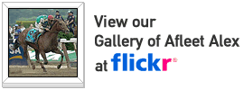 Visit our gallery of Afleet Alex at Flickr