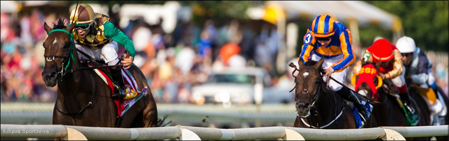 Horses in the stretch.