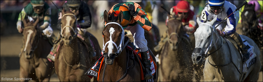 Close up of horses in the stretch