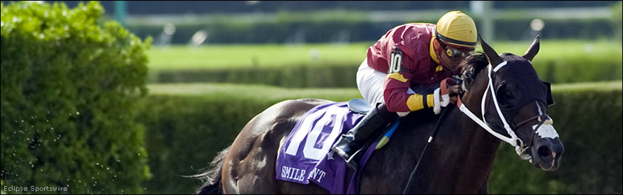 A racehorse and jockey.