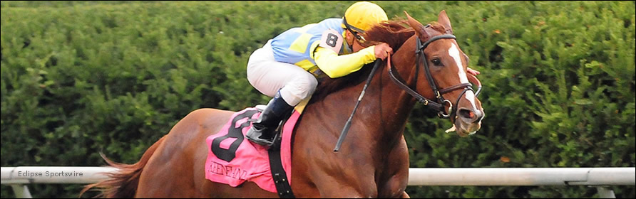 Dayatthespa winning the 2012 QE II Challenge Cup at Keeneland