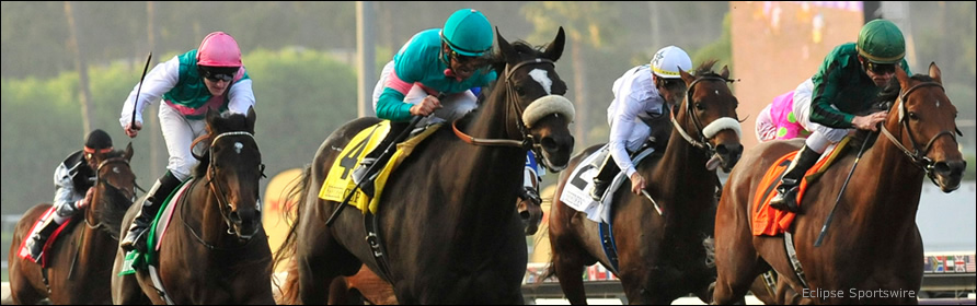 Zenyatta in the 2010 Breeders Cup Classic