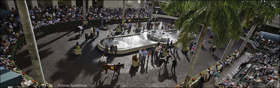 Gulfstream Park paddock
