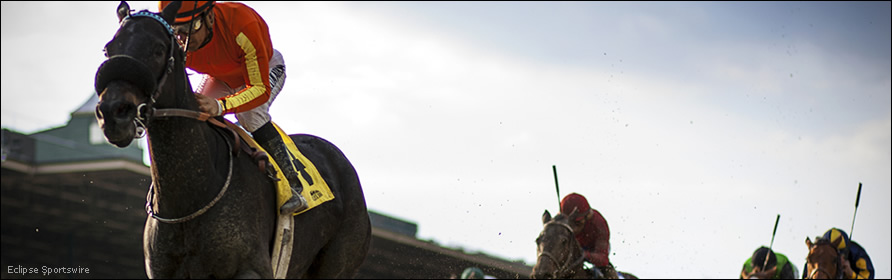 Horses in the stretch at Santa Anita