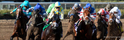 Horses round the corner into the stretch